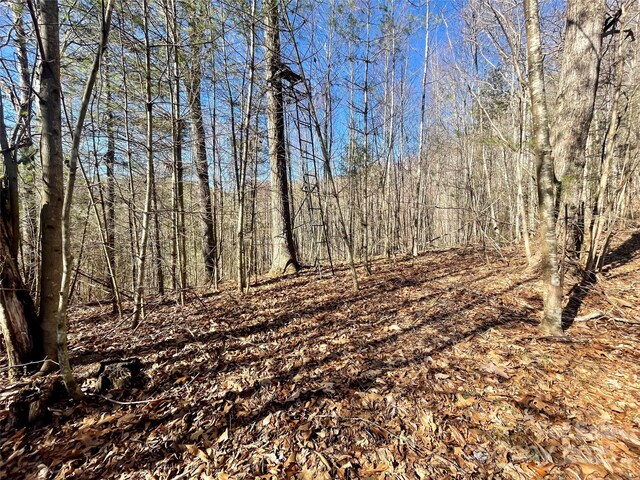 0 Mcpeters Ln, Burnsville, NC 28714