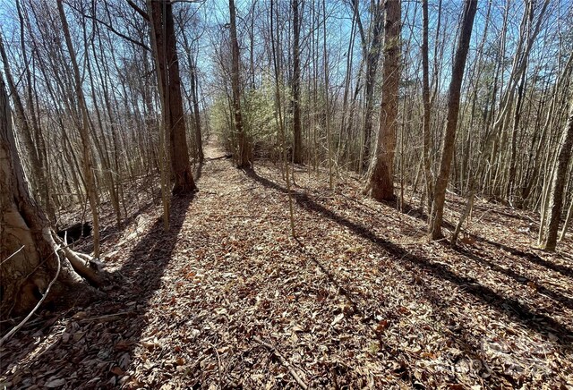 0 Mcpeters Ln, Burnsville, NC 28714