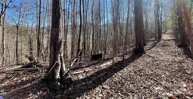 0 Mcpeters Ln, Burnsville, NC 28714
