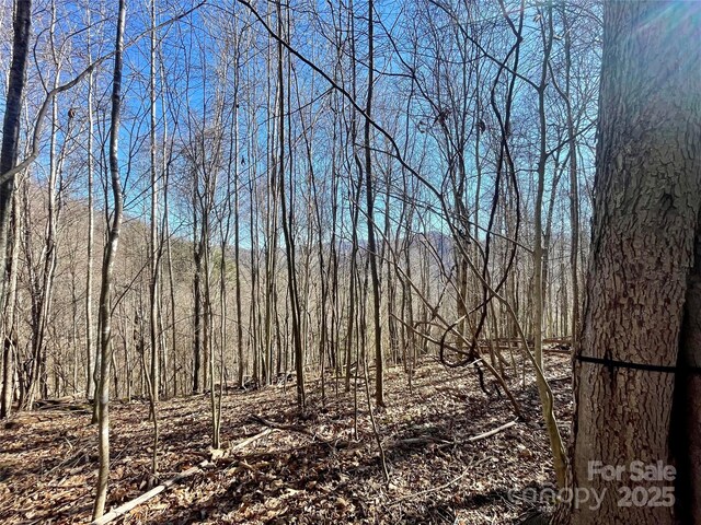 0 Mcpeters Ln, Burnsville, NC 28714