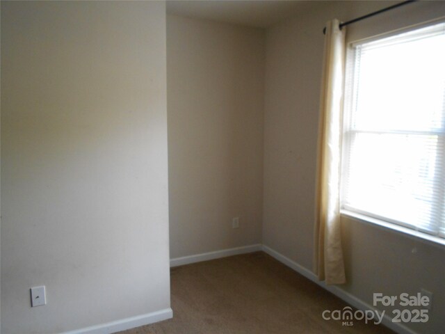 112 Alpine Ridge Dr, Asheville, NC 28803 - photo 18