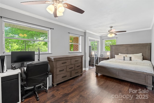 bedroom featuring multiple windows, ornamental molding, and dark wood-type flooring