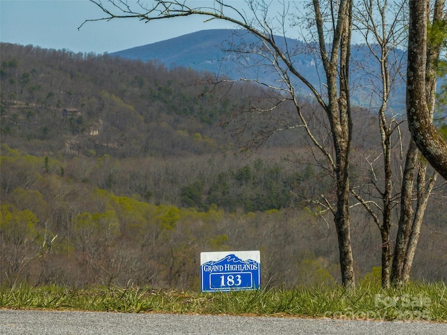 0 Dancing Bear Dr Unit 183, Hendersonville, NC 28792