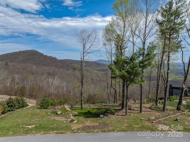 0 Dancing Bear Dr Unit 183, Hendersonville, NC 28792