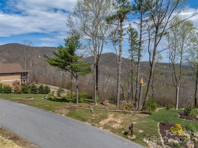 0 Dancing Bear Dr Unit 183, Hendersonville, NC 28792