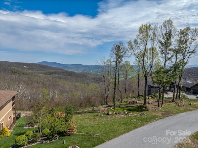 0 Dancing Bear Dr Unit 183, Hendersonville, NC 28792