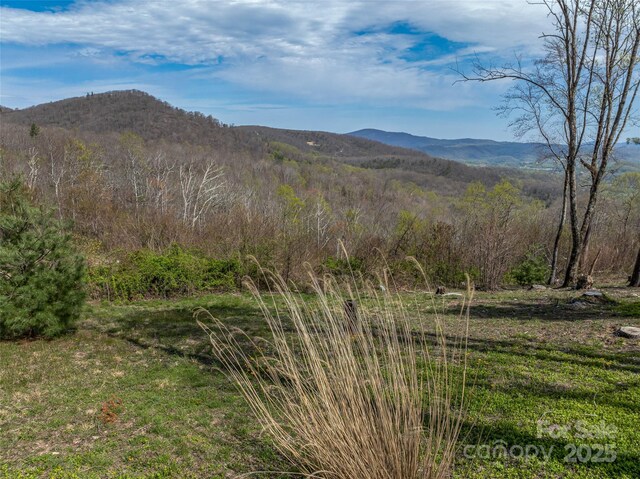 0 Dancing Bear Dr Unit 183, Hendersonville, NC 28792