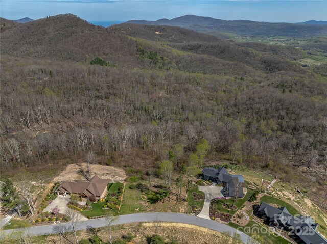 0 Dancing Bear Dr Unit 183, Hendersonville, NC 28792