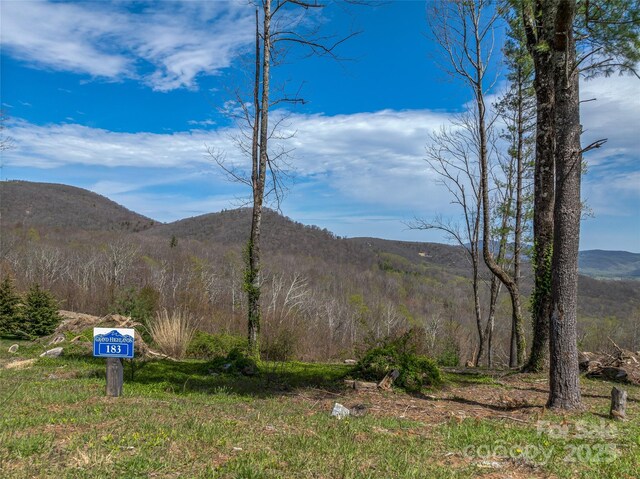 0 Dancing Bear Dr Unit 183, Hendersonville, NC 28792