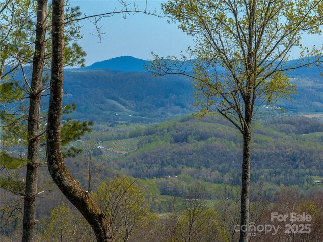 0 Dancing Bear Dr Unit 183, Hendersonville, NC 28792