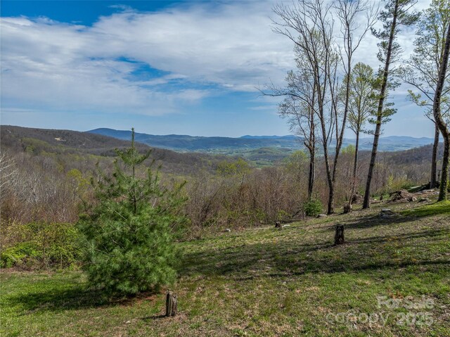 0 Dancing Bear Dr Unit 183, Hendersonville, NC 28792