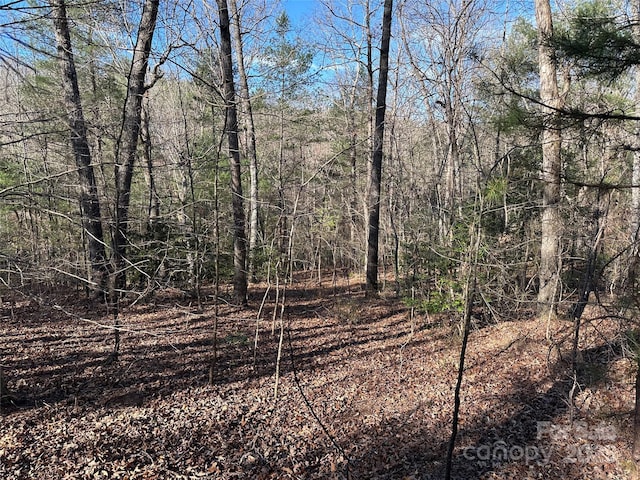 00 Goose Creek Dr, Taylorsville, NC 28681