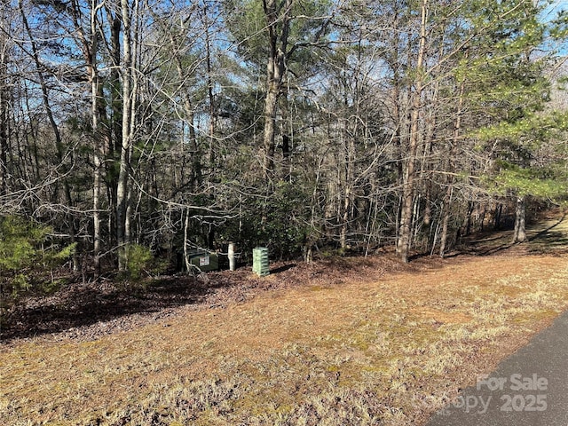 00 Goose Creek Dr, Taylorsville, NC 28681