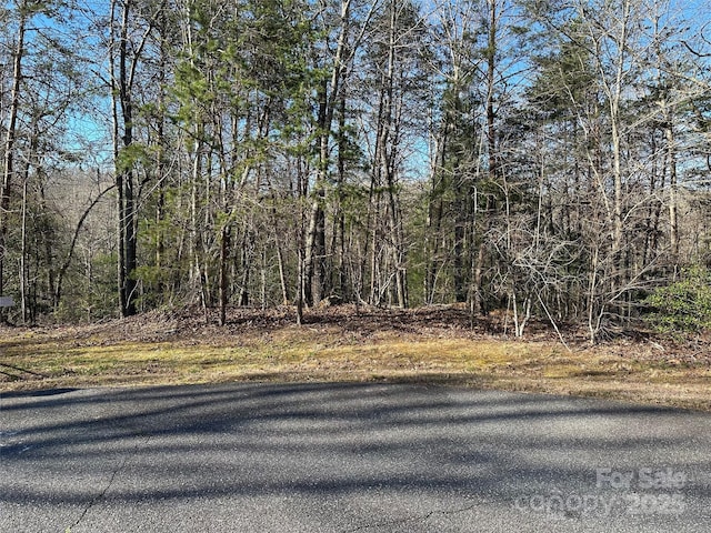 00 Goose Creek Dr, Taylorsville, NC 28681