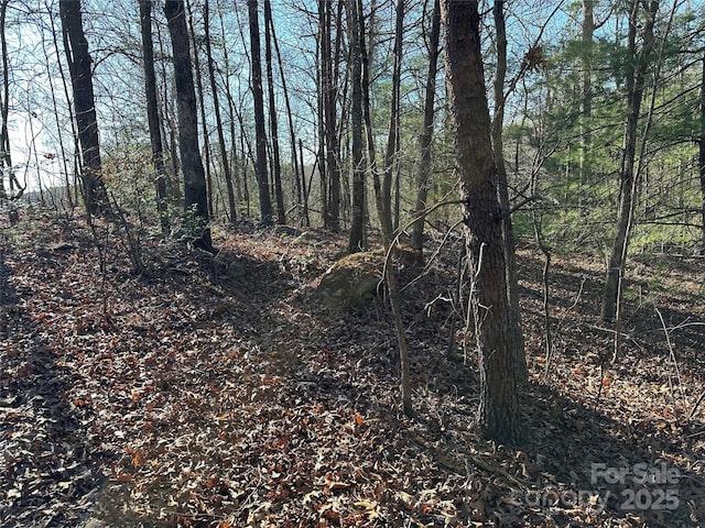 00 Goose Creek Dr, Taylorsville, NC 28681