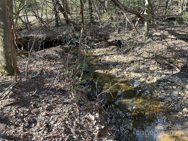 00 Goose Creek Dr, Taylorsville, NC 28681