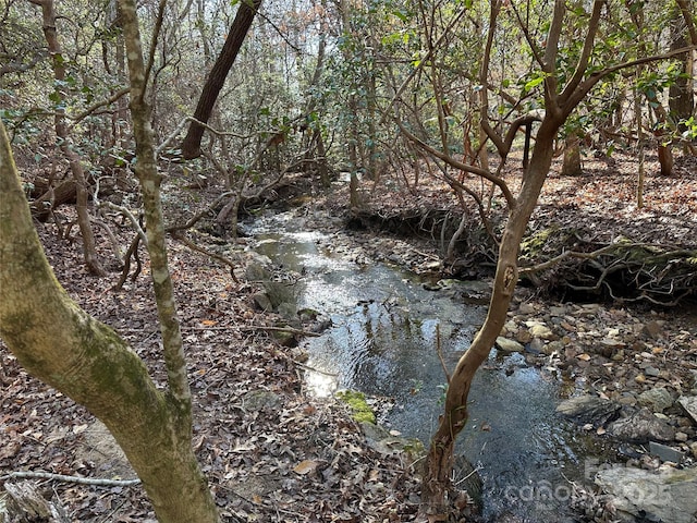 00 Goose Creek Dr, Taylorsville, NC 28681