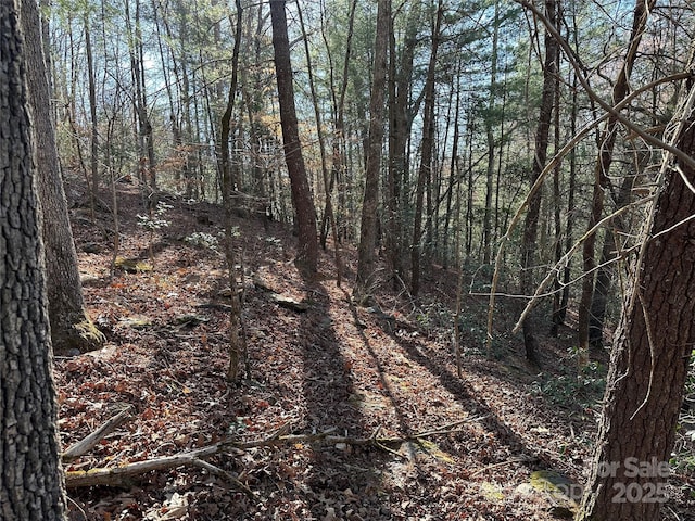 00 Goose Creek Dr, Taylorsville, NC 28681