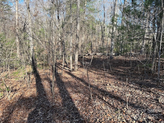 00 Goose Creek Dr, Taylorsville, NC 28681