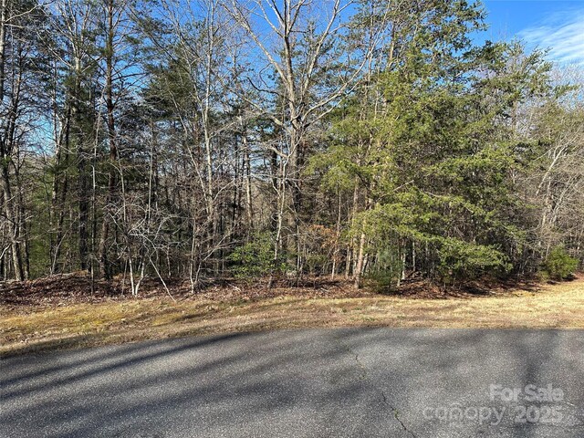 00 Goose Creek Dr, Taylorsville, NC 28681