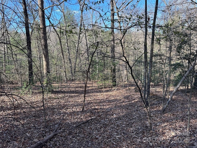 00 Goose Creek Dr, Taylorsville, NC 28681