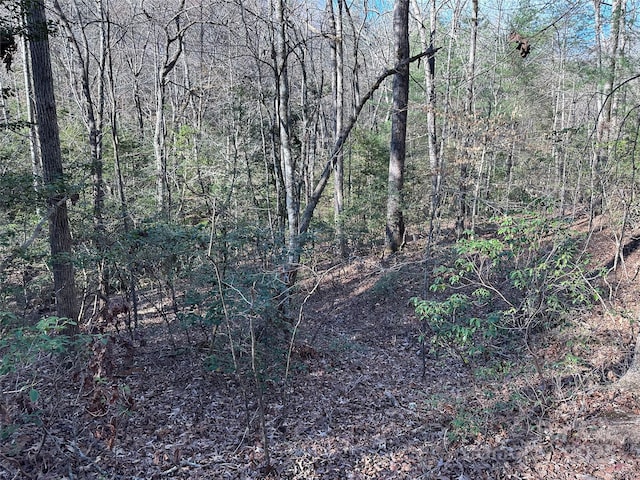 00 Goose Creek Dr, Taylorsville, NC 28681