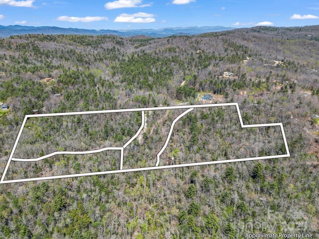 00 Bulling Creek Dr, Hendersonville, NC 28739