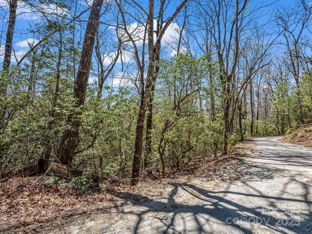 00 Bulling Creek Dr, Hendersonville, NC 28739