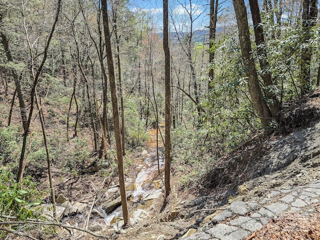 00 Bulling Creek Dr, Hendersonville, NC 28739