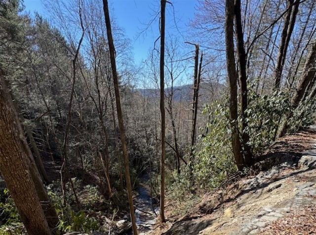 00 Bulling Creek Dr, Hendersonville, NC 28739