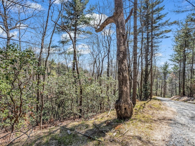 00 Bulling Creek Dr, Hendersonville, NC 28739