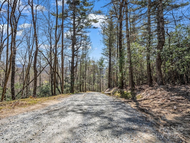 00 Bulling Creek Dr, Hendersonville, NC 28739
