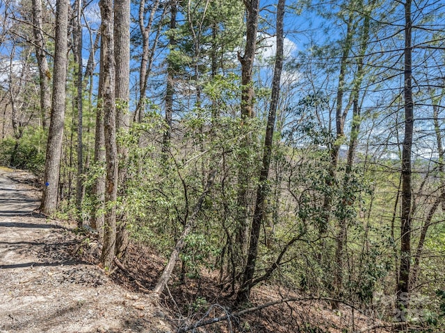 00 Bulling Creek Dr, Hendersonville, NC 28739