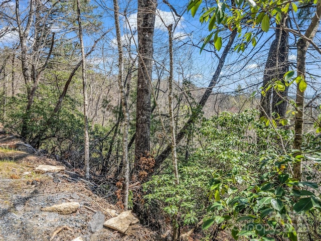 00 Bulling Creek Dr, Hendersonville, NC 28739