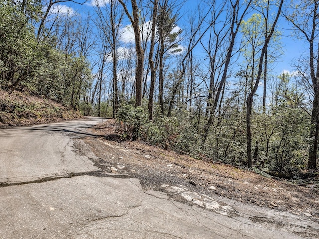 00 Bulling Creek Dr, Hendersonville, NC 28739