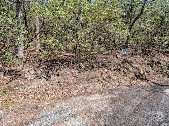 00 Bulling Creek Dr, Hendersonville, NC 28739