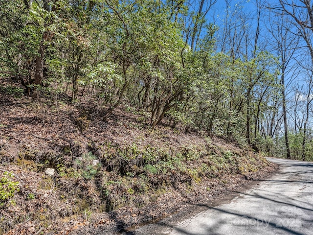 00 Bulling Creek Dr, Hendersonville, NC 28739