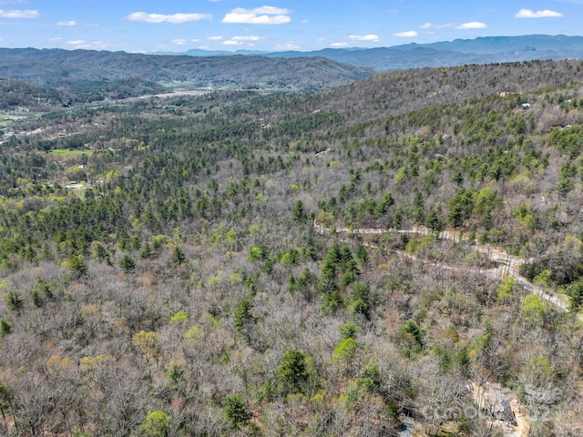 00 Bulling Creek Dr, Hendersonville, NC 28739