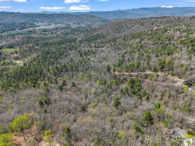 00 Bulling Creek Dr, Hendersonville, NC 28739