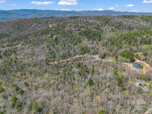 00 Bulling Creek Dr, Hendersonville, NC 28739