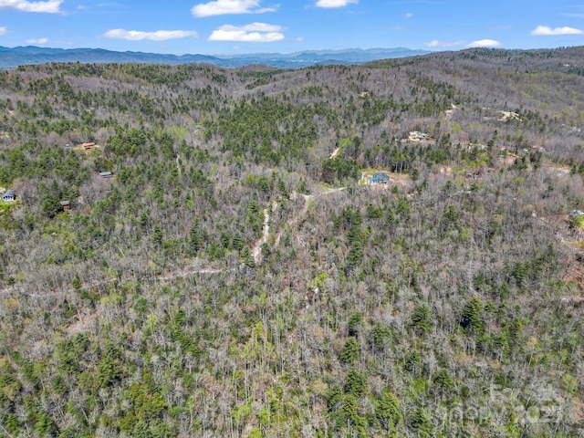 00 Bulling Creek Dr, Hendersonville, NC 28739