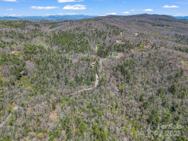 00 Bulling Creek Dr, Hendersonville, NC 28739