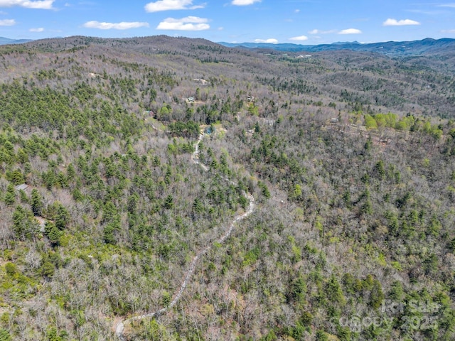 00 Bulling Creek Dr, Hendersonville, NC 28739