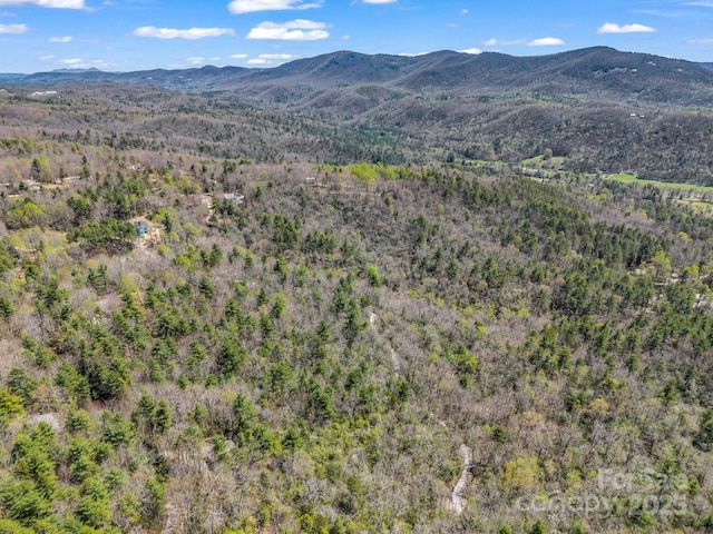 00 Bulling Creek Dr, Hendersonville, NC 28739