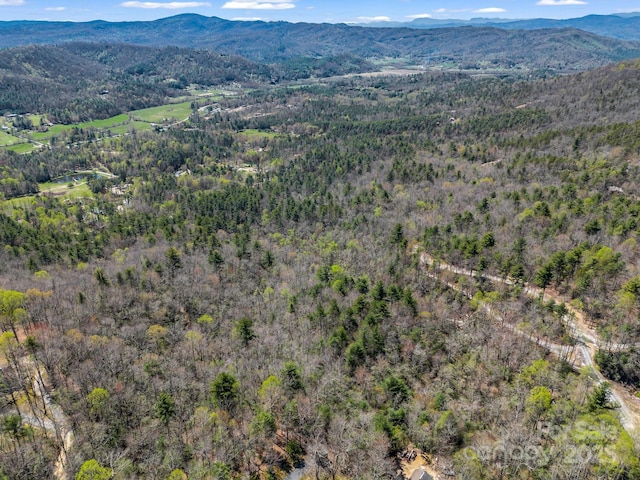 00 Bulling Creek Dr, Hendersonville, NC 28739