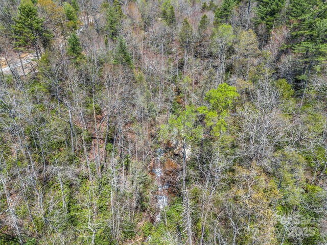 00 Bulling Creek Dr, Hendersonville, NC 28739