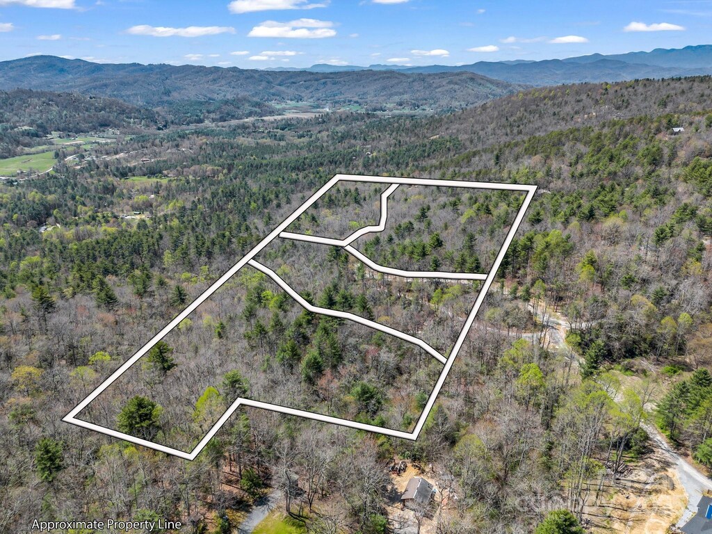 000 Bulling Creek Dr, Hendersonville, NC 28739 - photo 1