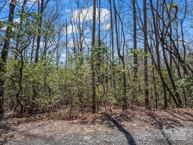 000 Bulling Creek Dr, Hendersonville, NC 28739