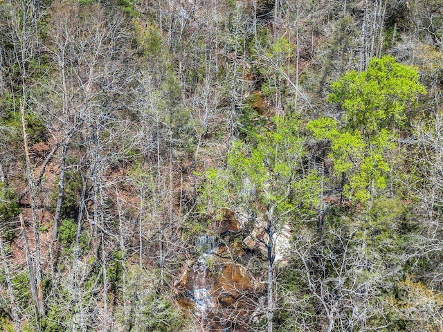 000 Bulling Creek Dr, Hendersonville, NC 28739