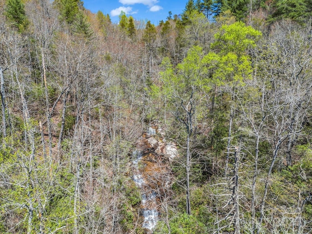 000 Bulling Creek Dr, Hendersonville, NC 28739